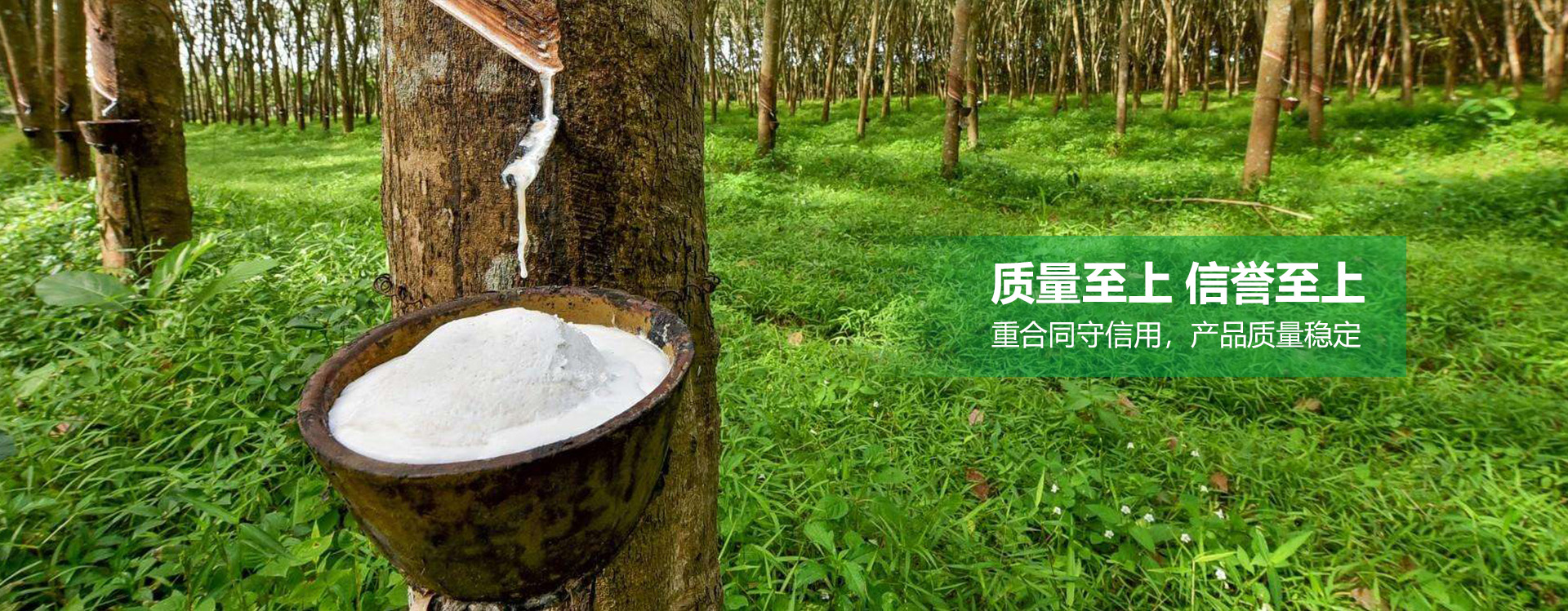 宣傳